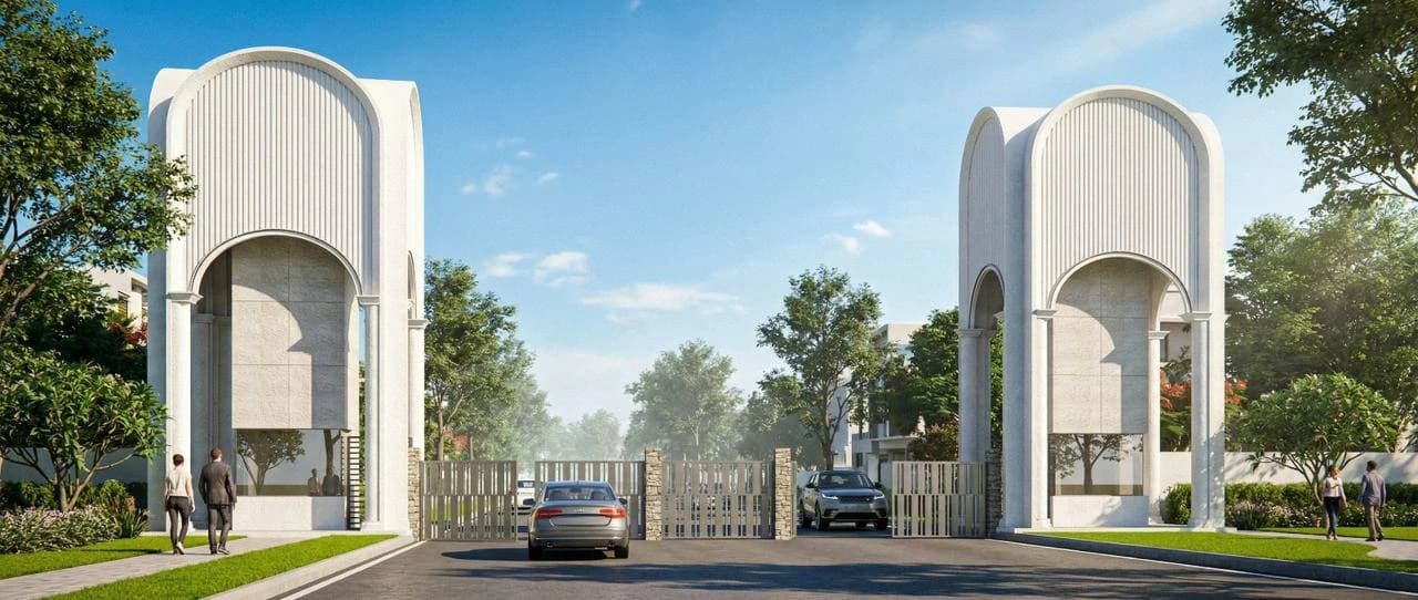 Tree-Lined Boulevard